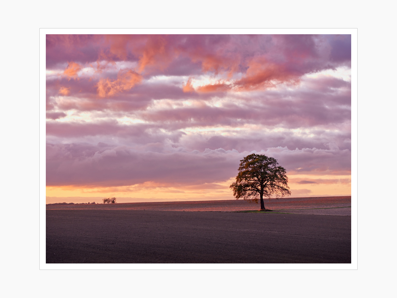 Max Schiefele Alle Bilder  DSF2289